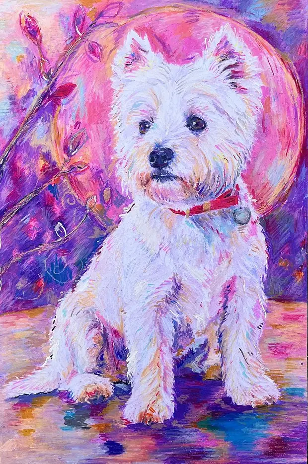 Pet portrait of a West Highland terrier in pink, lilac and blue.
