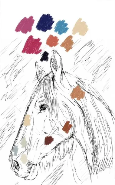 Planning sketch of a horse’s head with colour marks.