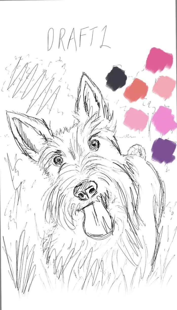Pencil line drawing of a terrier with colour swatches beside it.