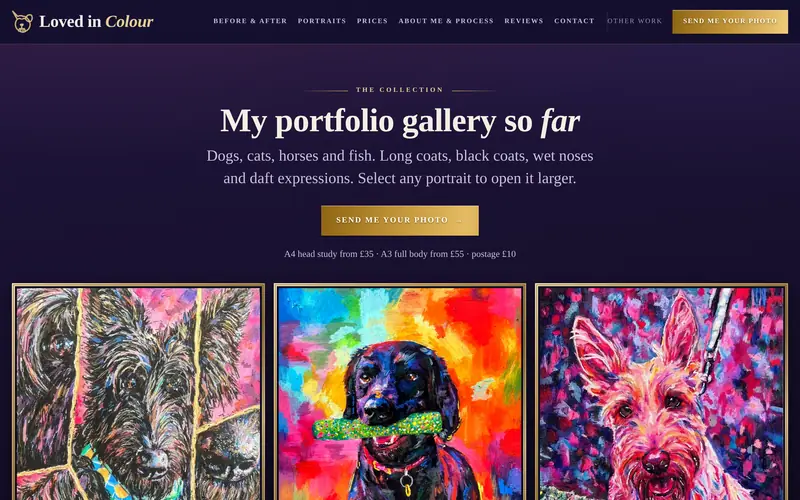 Loved in Colour website: My portfolio gallery so far, three framed portraits.